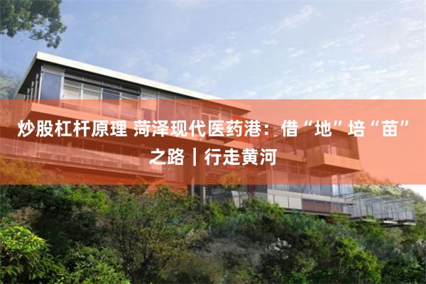 炒股杠杆原理 菏泽现代医药港：借“地”培“苗”之路｜行走黄河