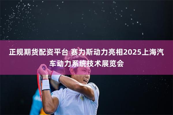 正规期货配资平台 赛力斯动力亮相2025上海汽车动力系统技术展览会