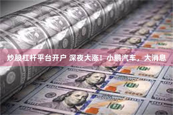 炒股杠杆平台开户 深夜大涨！小鹏汽车，大消息