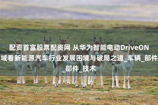 配资首富股票配资网 从华为智能电动DriveONE运动域看新能源汽车行业发展困境与破局之道_车辆_部件_技术