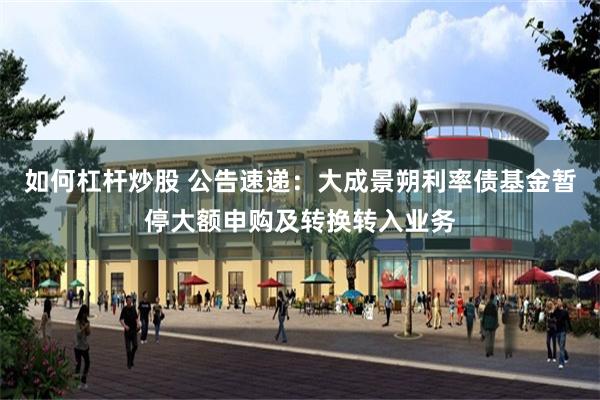 如何杠杆炒股 公告速递：大成景朔利率债基金暂停大额申购及转换转入业务