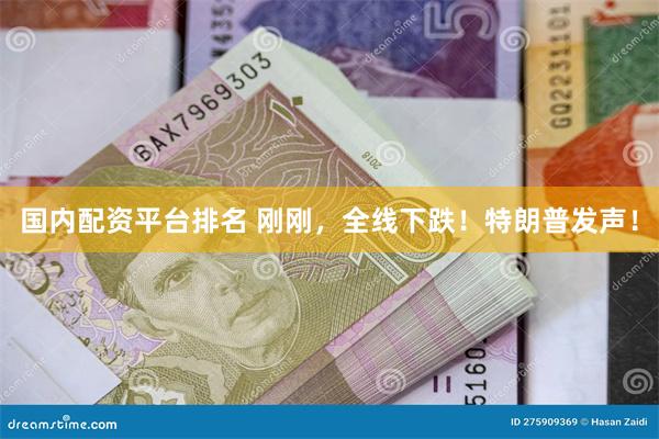 国内配资平台排名 刚刚，全线下跌！特朗普发声！