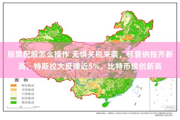 股票配股怎么操作 无惧关税来袭，标普纳指齐新高，特斯拉大反弹近5%，比特币续创新高