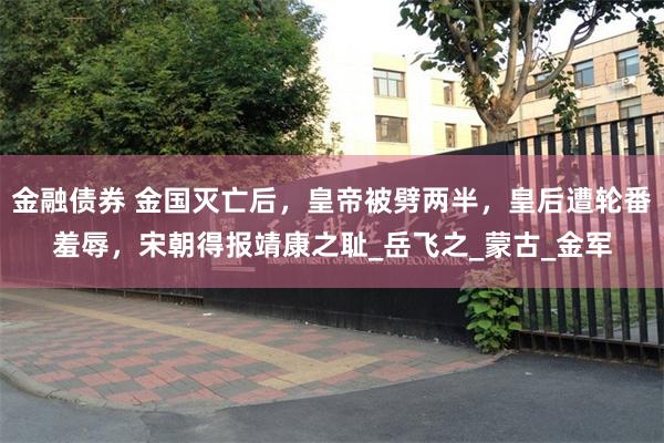 金融债券 金国灭亡后，皇帝被劈两半，皇后遭轮番羞辱，宋朝得报靖康之耻_岳飞之_蒙古_金军