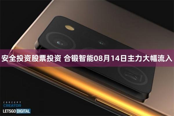 安全投资股票投资 合锻智能08月14日主力大幅流入